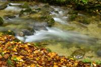 Torrent